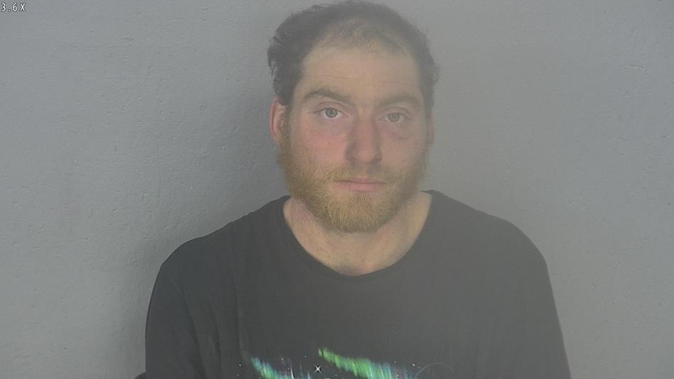 Arrest photo of BRANDON TAYLOR